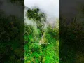 Download Lagu Die with memories, not dreams!🥺❤️#Nature#love#green#forest#love#song#music