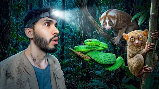 Encontré los ANIMALES más RAROS y PELIGROSOS de BORNEO 🐍
