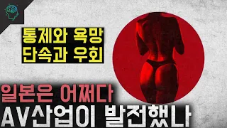 '규제하되 풀어준다' 통제와 욕망 단속과 우회 '일본 AV산업이 발전한 이유'