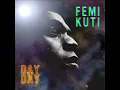 Femi Kuti / Day by Day