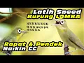 Download Lagu Kecial Lomba Speed Pendek #kecialkuninggacor #kecialkombok #kecialngejos