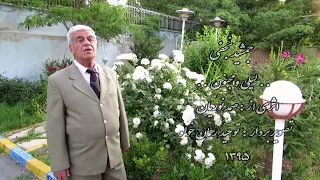 جمشید نجفی لیلی و مجنون Jamshid Najafi 