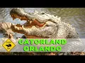 Gatorland Alligator Capital of the World Orlando Florida