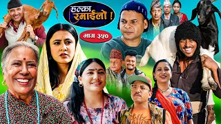Halka Ramailo | हल्का रमाईलो || Episode 350 || 04 October   2026 || Balchhi Dhurbe || Nepali Comedy