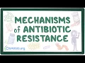 Mechanisms of antibiotic resistance