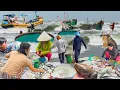 Lagu Biển Phước Hải Đầu Mùa Bắc 350k 1kg Tôm║Chợ Chiều Phước Hội Nhiều Hải Sản Đông Vui