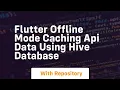 Flutter offline mode caching api data using hive database