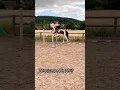 Download Lagu Who jumped it best #horse #equestrian #pony #horsegirl #showjumping #horseshow #jump #horseriding