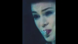 The Piranha Tank Now You See Me Movie Clip Short Shorts 