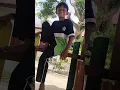 Download Lagu Anak ini akan ku pelihara😂