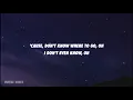 VIZE x Tokio Hotel - White Lies (Lyrics)