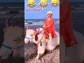 Download Lagu Good bye my jongos, ane balik ke yamen.. Disini ketahuan ane cucu nabi palsu.. 😁🤣😂