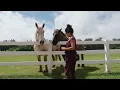 Jessie Reyez - SALT (Official Visual)