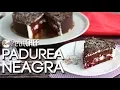 Download Lagu Tort Pădurea Neagră