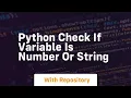 python check if variable is number or string