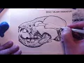 Wolf Skull Inking Time lapse