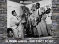 Elmore James - She´s Got To Go