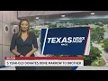 5 year-old donates bone marrow to brother Texas News Now