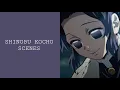 Shinobu Kocho Scenes Raw || HD - 1080p