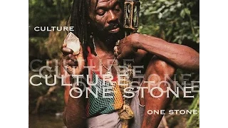 culture one stone