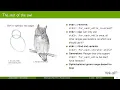 Missing and Future C Range Concepts - Jonathan Muller