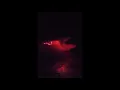 Gafur - Нашёл тебя (Slowed To Perfection)