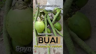 BUAI - BY SPYNOL WHEELZ. PROD BY VENFORD
