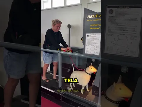 Pets Estão virando robo IA  🐕✨