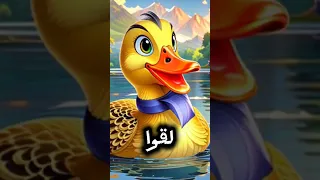 لغز صوت البط لماذا لا يصدر صدى لصوته 