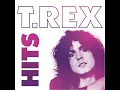 20TH Century Boy - T. Rex