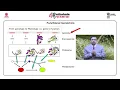 M-26 Common techniques related to Functional Genomics