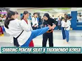 Sharing Pencak Silat X Taekwondo Kore Teknik Bantingan