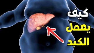                                                              دندنها