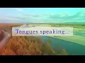 Minister GUC - Obinigwe (Video Lyrics)