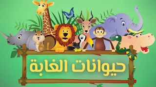 حيوانات الغابة للأطفال أسماء وأصوات حيوانات الغابة الحقيقية مودو كيدز 