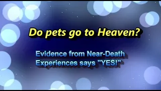 Do Pets Go To Heaven? Why, YES!