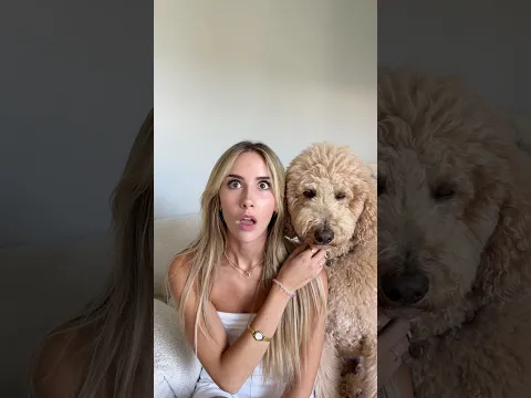 Good thing he can’t read minds #dogs #dogcomedy