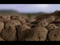 NÍVEA SOARES - MARAVILHADO