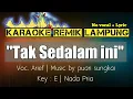 Download Lagu TAK SEDALAM INI - ARIEF - KARAOKE REMIK LAMPUNG - NO VOCAL