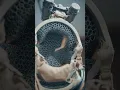 Micro Lattice Pads The best helmet pads on the market