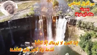 قصيدة إذا المرء لا يلقاك إلا تكلفا الإمام الشافعي بدون موسيقى بصوت الأخ خالد ابو قوقة 