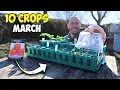 10 Crops You d Be Foolish Not to Plant in March