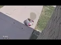 Family sues Round Rock ISD for 6M after 4-year-old left outside
