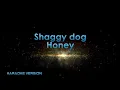 Download Lagu Shaggy dog-Honey. Karaoke version