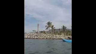 Paddle Boarding in La Cruz de Huanacaxtle