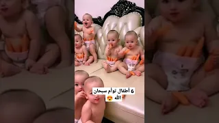 ٦ اطفال توام مشاء الله اجمل اطفال ومواهب نونو 