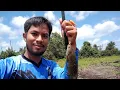 Sisit Kada Ba ampihan | Mancing Ikan Gabus \u0026 Ikan Betok