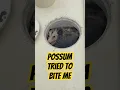 Possum almost gives pool guy rabies