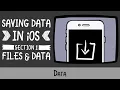 Saving Data in iOS - raywenderlich com
