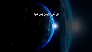 قل لمن الارض ومن فيها ان كنتم تعلمون سيقولون لله قل افلا تذكرون سورة المؤمنون ياسر الدوسري 